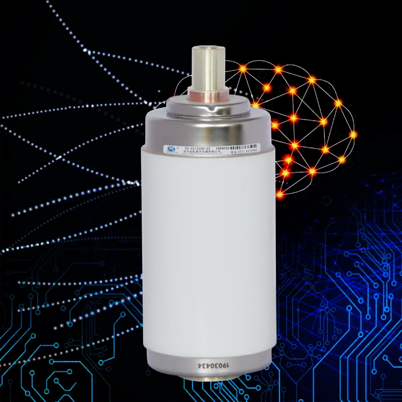 Ceramic Shell Vacuum Interrupter